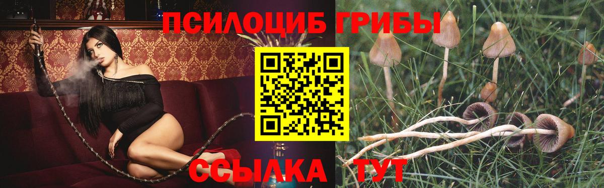 Галлюциногенные грибы ЛСД  Псилоцибиновые грибы Psilocybe  Нурлат  Вход с VPN 